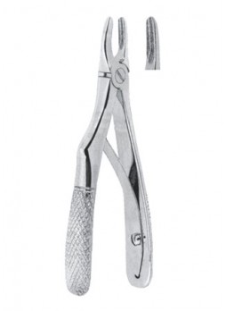 Extracting Forceps